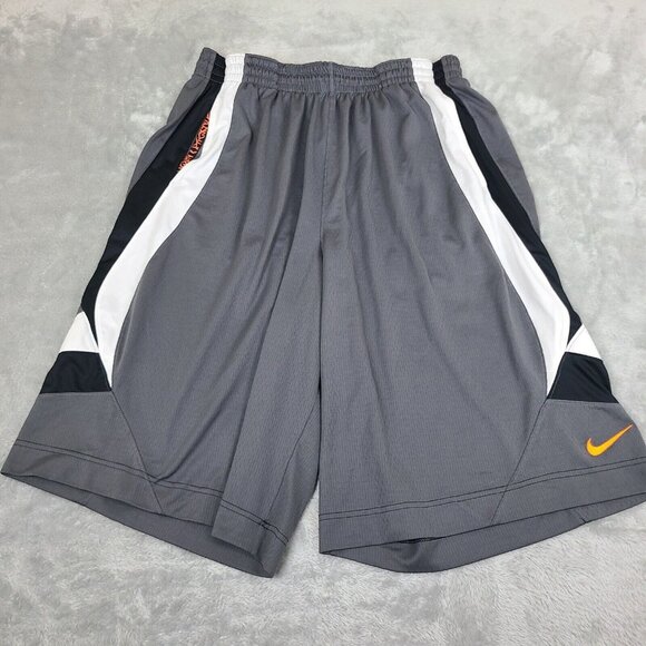 Vintagte Nike Shorts Adult Large‎ Gray Mesh Athletic Men 90s Y2K - Picture 1 of 9